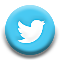 social_media_icon_twitter_circle_50x50wbevel_color_01